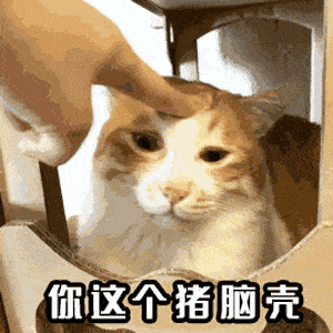 表情| 整天想着淫荡的事,这样子你会出色吗?