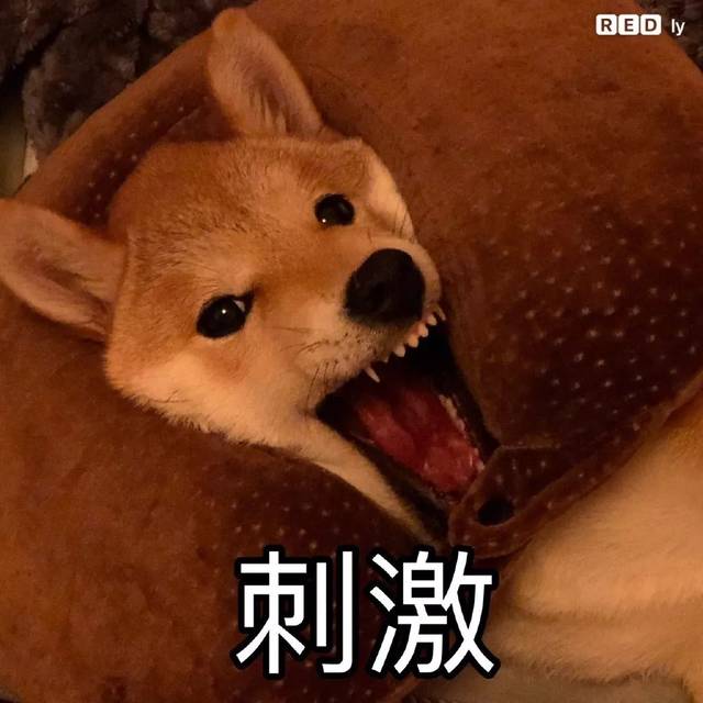 哇!这捆绑play,我可!