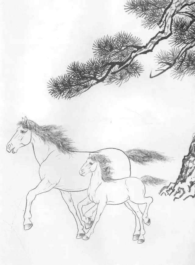 【国画教程】马的画法