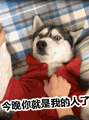 今日份沙雕表情包 | 听说男人喜欢干净的女生