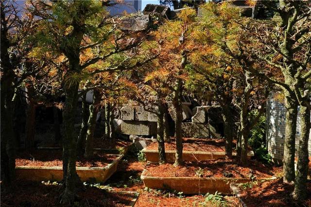 一路吟诗竞风流!奉化这条唐诗之路迎来最