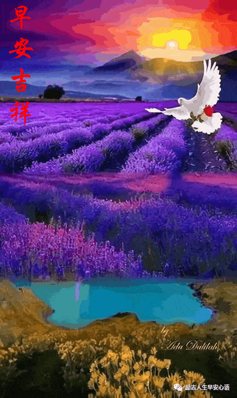 472_790 竖版 竖屏