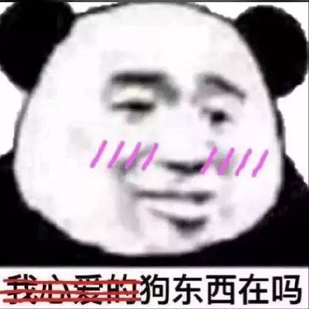 聊天斗图表情包 | 劳资受够你们这群憨批了