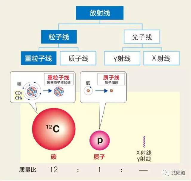 实体肿瘤克星——质子重离子治疗