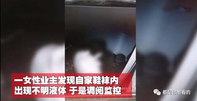 女子发现鞋袜内有不明液体眼镜男将一只袜子塞嘴里一只套下体