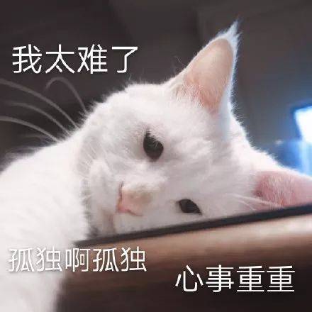 聊天斗图表情包 | 劳资受够你们这群憨批了