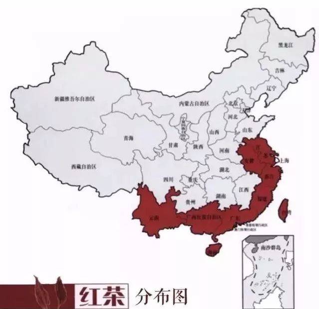 红茶的"红",在8个方面,很"中国红"