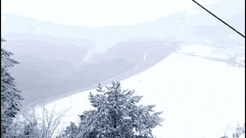 冬至还没有到 朋友圈就开始下雪啦 今天 就,真,的,下,雪,了!