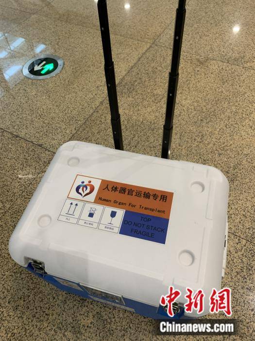 中国民航开通人体捐献器官航空运输绿色通道次数不断提升