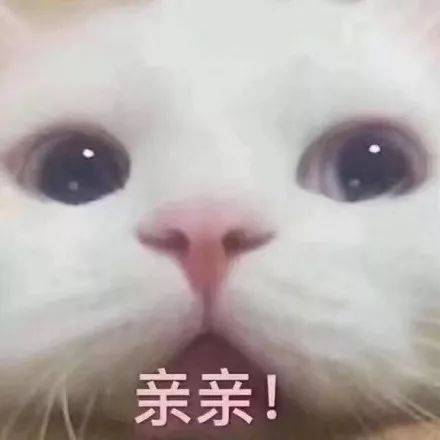 E句话看天下丨邱淑贞小学算最美星二代?女儿怎么样东山图片