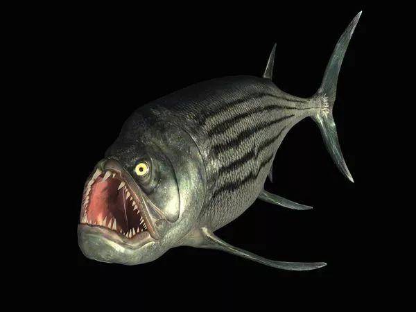 白垩纪的恐怖魔鬼鱼,一口能够吞掉一个人