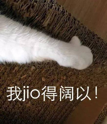 那就向生活请个假吧 偶尔就做一个快乐的废物 我jio得很ok