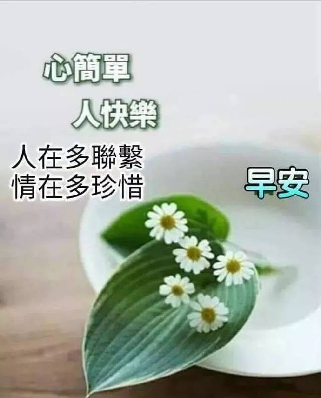 感恩节清晨早上好问候祝福语动态图片 最美早晨好问候