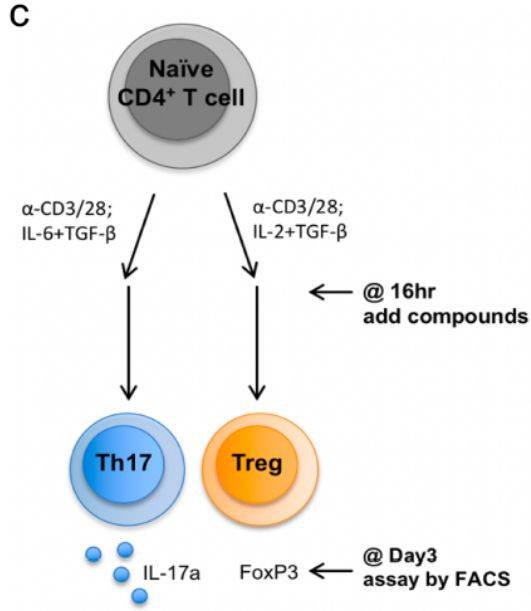 Nature | 胆汁酸代谢物调节Th17和Treg细胞