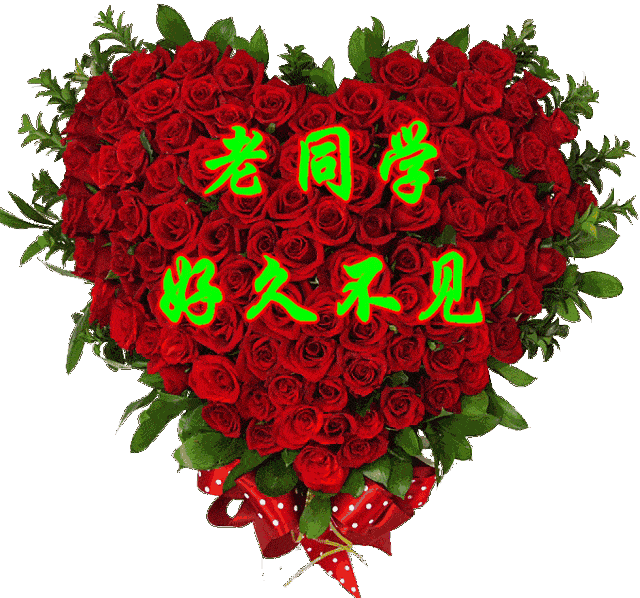 精神健康最重要, 乐观心态幸福长, 暖暖祝福也送上, 愿老同学心欢畅!