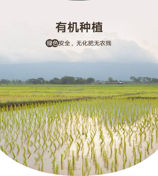 响水大米|中华第一米