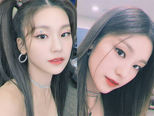 韩国"犬相"女星和"猫相"女星魅力大比拼