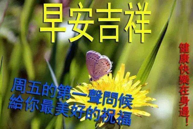 清晨早安温馨问候语集锦 早上好鲜花漂亮问候图片表情