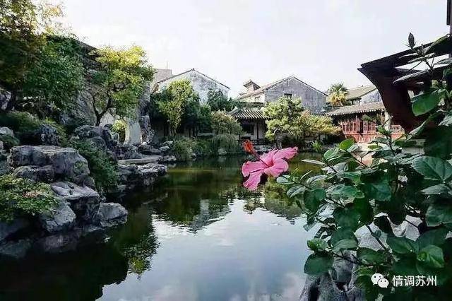 跟着《红楼梦》打卡苏州园林