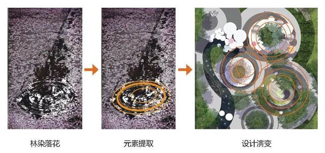 林染落花元素演变图