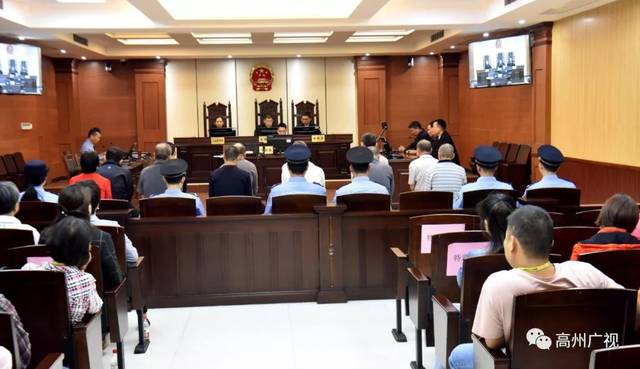 高州法院宣判石仔岭一村官为首的黑社会性质组织12人