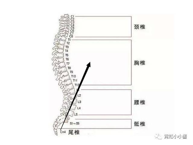 原创胖瘦对身材的影响根本没腰臀比重要好吧!|日本医美