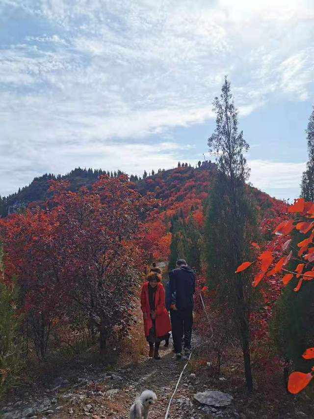 济南周边旅行,最适合冬天旅行目的地,三王峪景区