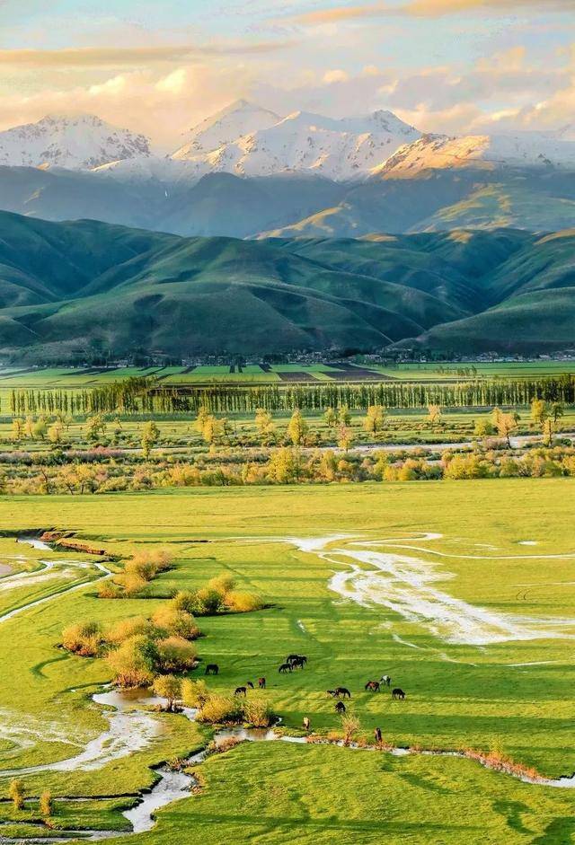 新疆  那拉提草原 西藏  羌塘草原