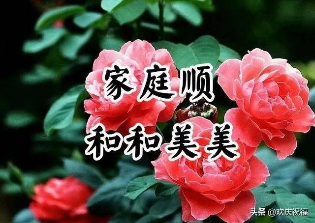 121Ϻʺ,糿簲ףͼƬ