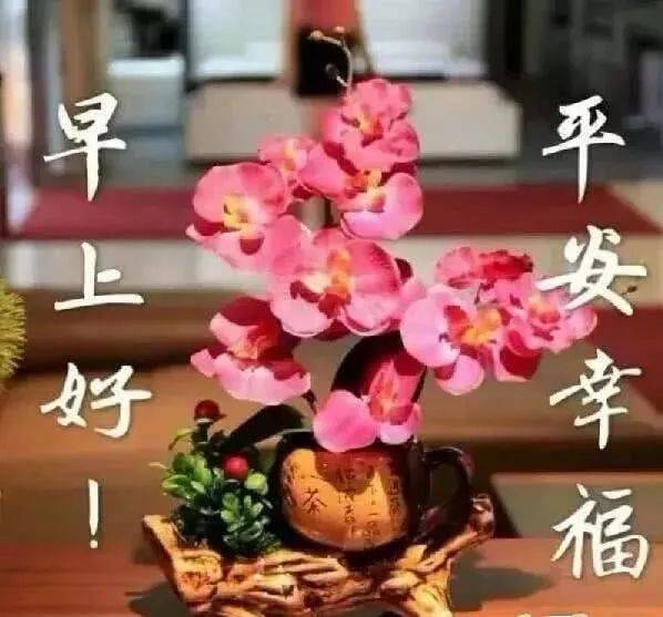 冬天天冷早上好图片问候祝福语句子