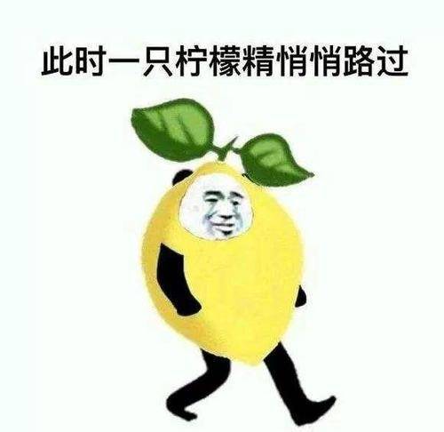 2019十大网络用语出炉 雨女无瓜柠檬精99