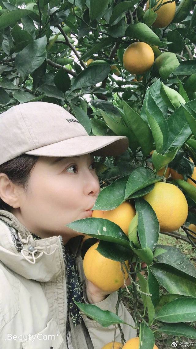 前段时间,袁立就一直在农村摘橙子,并亲手把它们一个一个擦拭干净,她