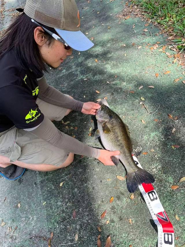 我和chris的目标鱼是孔雀鲈鱼,标点时沿着河岸线的硬质结构区以及有