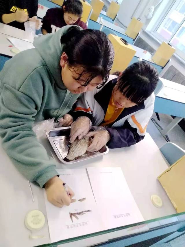 市八中开展生物学科实践活动