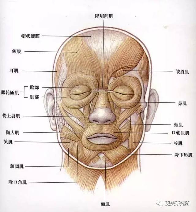 肌肉力量用不对,景甜笑得比哭还难看?怎样笑才有感染力?