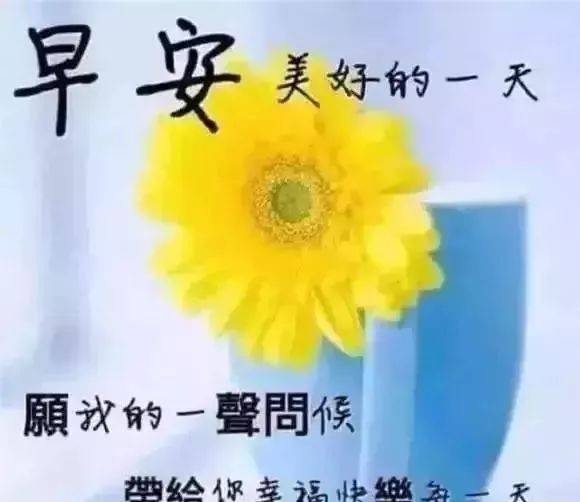12月大家早上好新版祝福漂亮图片带字 清晨早上好问候