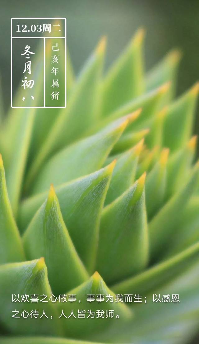 今日日历