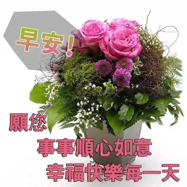 朋友们早上好鲜花表情包 微信早晨好祝福语鲜花图片大全