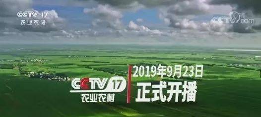 快讯!cctv-10央视科教频道改版,19档节目将亮相