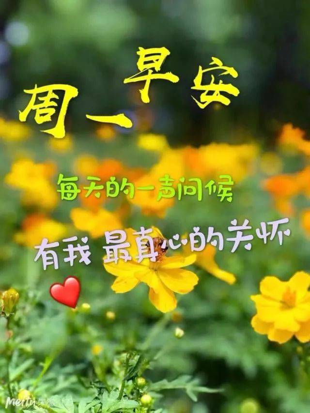 12月3日周二群发早上好问候祝福动态表情图片 最美早晨好问候表情动态