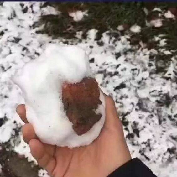 打雪仗吗?要签生死状的那种!