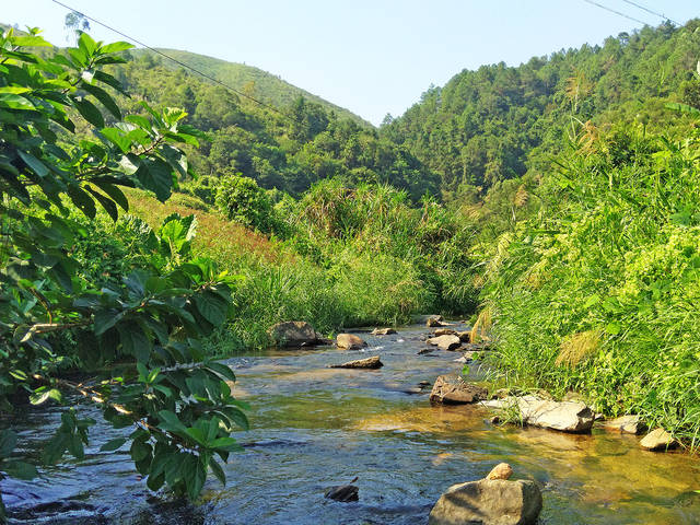 独享又一个广东野温泉,位置极为隐蔽私密,小溪边营地还可以露营