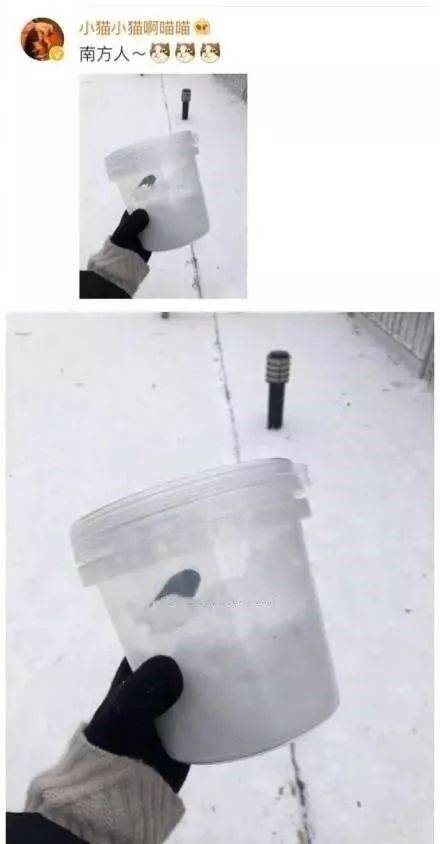 打雪仗吗?要签生死状的那种!