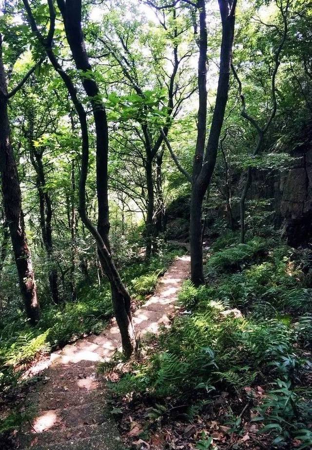 步行者户外~12.8无锡惠山一枝花登山徒步1日活动