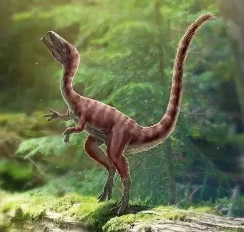 迅猛龙3d复原图 邢立达提供 发现英良迅猛龙有啥用?