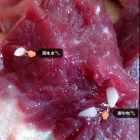 其实不仅仅是猪肉,未全熟的牛肉,羊肉,鸡肉,尤其是刺身!