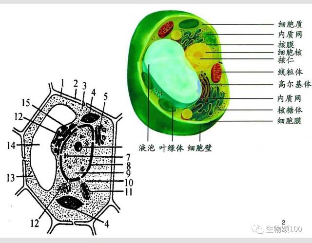 高中生物:课本及试卷中常考图片题大集合,建议同学们收藏