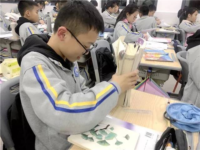 播种好习惯,收获更好的自己——平阳建兰学校开展课桌整理展示活动