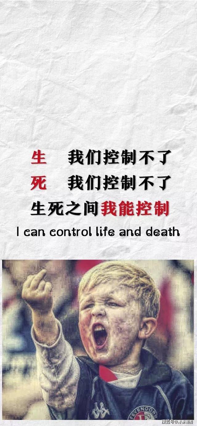 2019抖音最火生肖壁纸.文字控壁纸图片