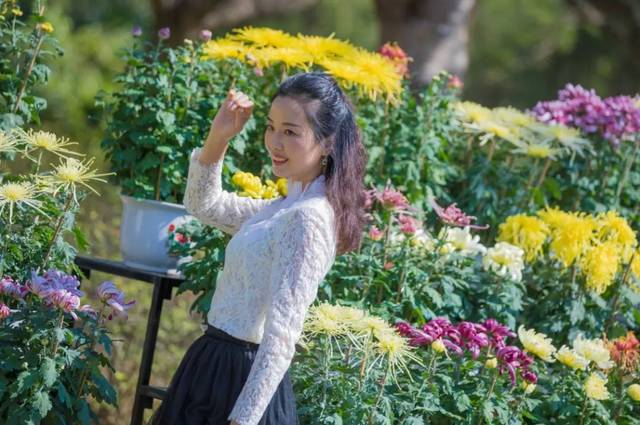 以蜜蜂采菊蕊为主蜜蜂展现了梦幻般造型的狮子"小场景"身上的"花童话天蝎哪个a蜜蜂图片